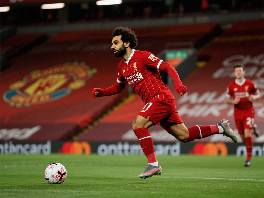 总体而言 总体而言